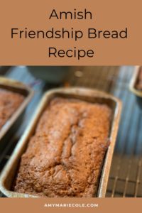 Amish Friendship Bread Recipe